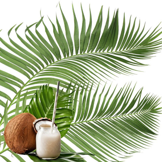 image of a coco , a coco juice and a palm leave
