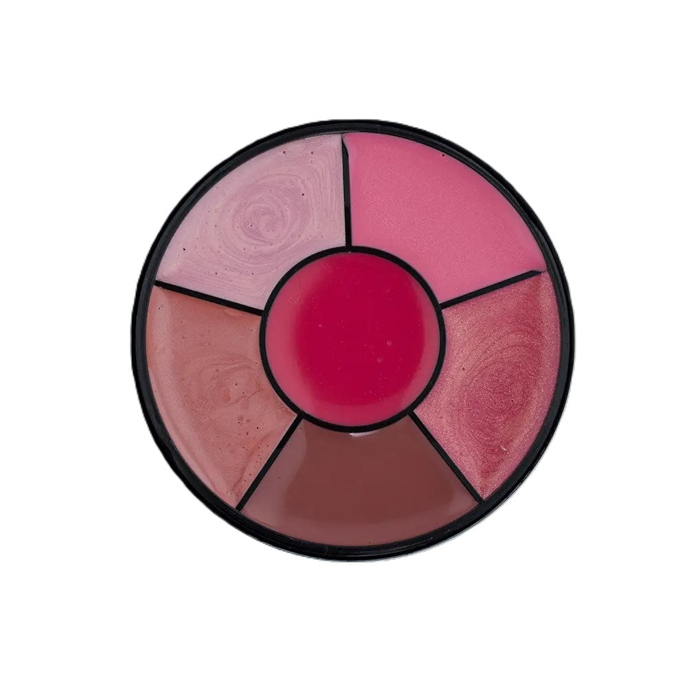 Pink variety color wheel of lip gloss VG Sara x