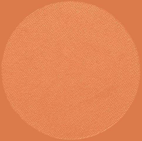 vegan matte eyeshadow refill penny lover shade